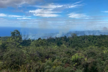 La Montagne : les pompiers tentent de maîtriser un feu de broussaille au niveau de Saint-Bernard