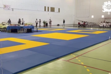 Saint-Leu : de nouveaux tatamis pour les judokas 