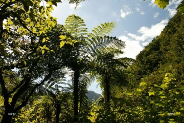 paysages 