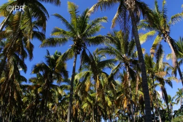 paysages 