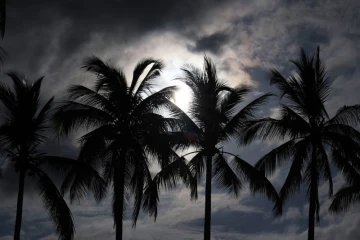 paysages 
