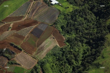 agriculture 