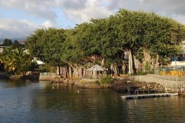 Reprise des visites culturelles guidées à Saint-Pierre