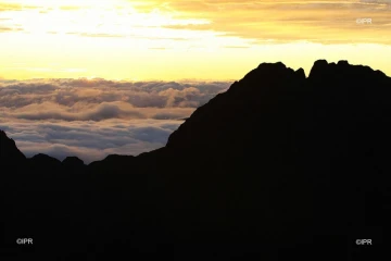 paysages 