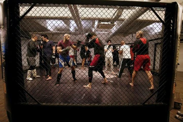 MMA
