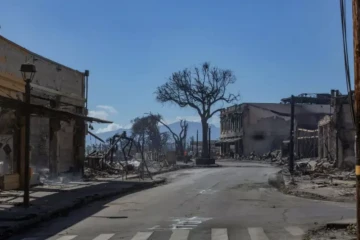 Des bâtiments calcinés à Lahaina, sur l'île de Maui, le 11 août 2023 à Hawaï ( AFP / Moses SLOVATIZKI )