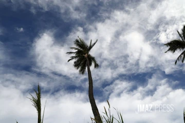 météo réunion