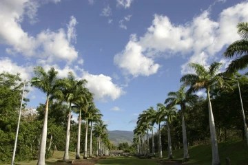 parc Boisé
