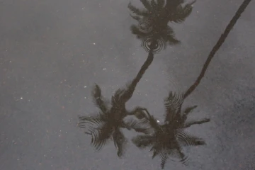 Fortes pluies