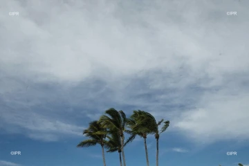 cyclone Berguitta 