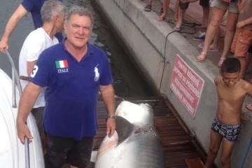 Pêche requin tigre