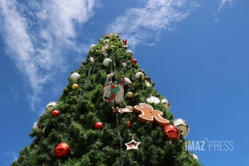 arbre de noël
