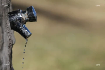 Eau 
