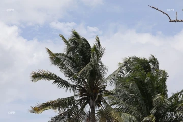 météo réunion 