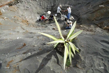 archéologie 