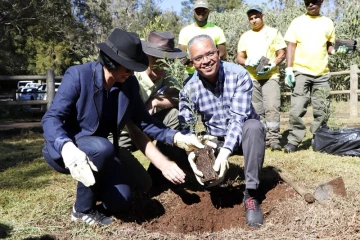 Département protection forêts ONF