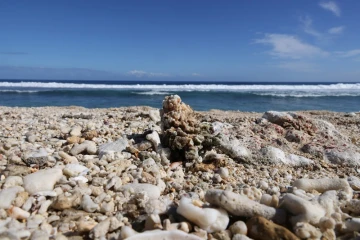 mer