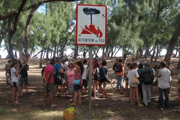 Rassemblement contre la pêche des requins