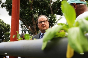 Hollande