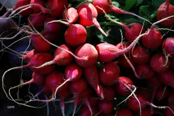 Marché forain du Port - jeudi 13 décembre 2018