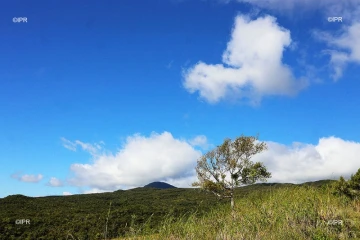 paysages est 