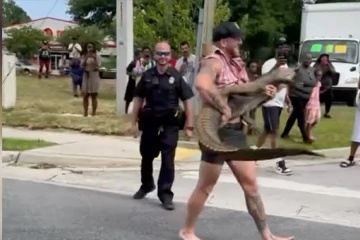 États-Unis : un combattant de MMA capture à mains nues un alligator qui errait dans la rue [?]
