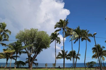 Barachois 
