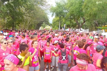 Odyssea 2014