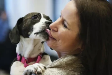 Les chiens pleurent lorsqu'ils retrouvent leur maître, montre une étude