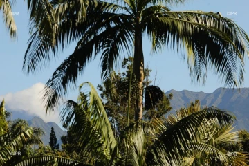 paysages 