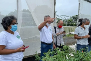 visite d'exploitation par la FDSEA à Sainte-Suzanne après le passage de batsirai