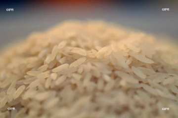 riz