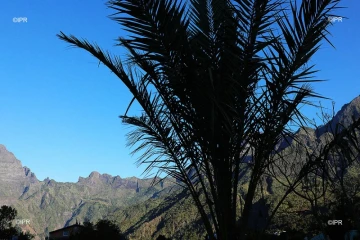 paysages 