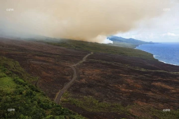 Incendie, Grand brûlé, Sainte-Rose, feu, végétation