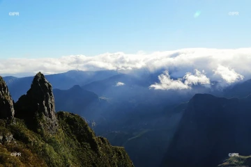 paysages 