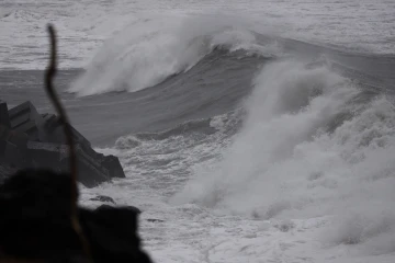 Vague Houle Le Port Ava