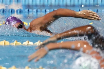 Natation