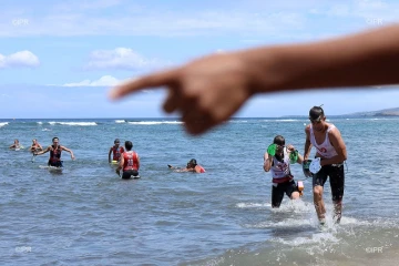 swim run 2019