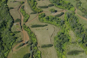 Agriculture