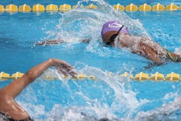 natation meeting de qualification mars 2019