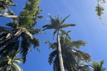 Météo Réunion