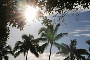 paysages 