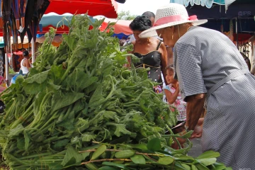 légumes