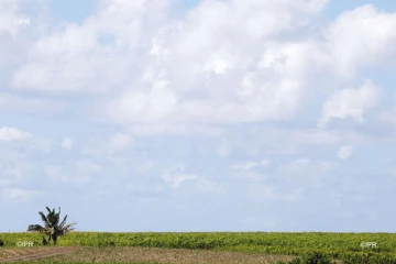 Météo Réunion 
