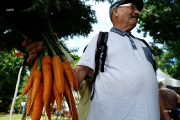 Marchés producteurs 