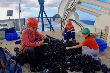 L'expertise scientifique réunionnaise mobilisée pour le volcan sous-marin de Mayotte