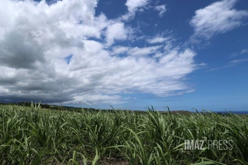 météo réunion 