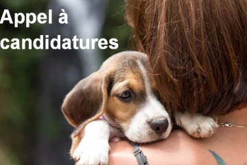 Animaux