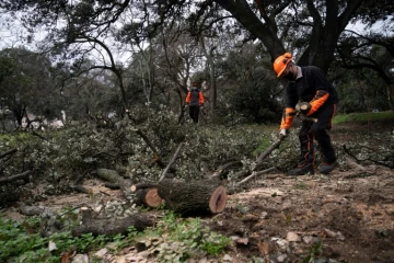 Élagage dans le parc Retiro de Madrid, le 29 janvier 2021