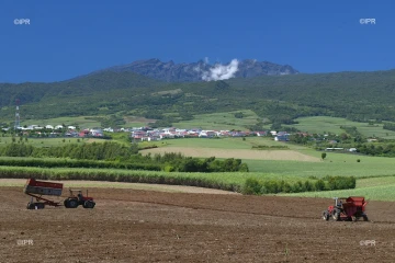 agriculture 